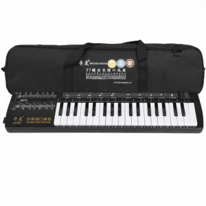 Qimei | Educational And Professional Use 37 Keys Melodion