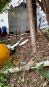 KEELAT SK5 Pruning shears cordless gunting cutter branch cutter gardening electric scissors Pruning shear