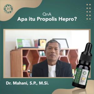 Dada Teras Legaa - Napas Jadii Plooong dengan Propolis Hepro Asli 100% -Solusi- Tbc batuk menahun bronchitis Paru-paru