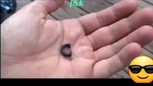 50 PCS Black Nylon Cable Tie and Colored Cable Tie Self Locking Zip Ties Cable Strap for Break and Shift Cables