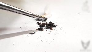 Nhũ Dịch Ngừa Viêm Tai Ve Rận Cho Chó Mèo Alkin Otoklen - Lọ Nhỏ Hết Ve Giận Dành Cho Thú Cưng