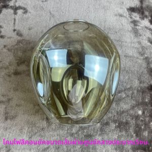 ตัวถังหลอดไฟ DIY แบบไม้ พร้อมสายสแตนเลส รูปต้นไม้ ทรงกลมใส ปิดด้วยฝาครอบ G9 พร้อมที่แขวนไฟ G4