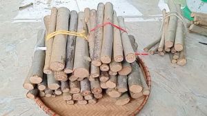 cành cây cao 20cm làm decor trang trí