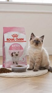 Royal Canin Kitten 400g Dry Cat Food | Feline Health Nutrition for 4-12 Months | Supports Growth Immune System Brain Development Vision & Digestion [New Stock]