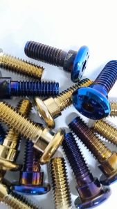 Baut disc cakram gepeng bintik stainless semua motor universal