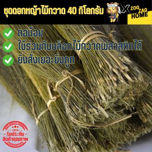 ชุดดอกหญ้า 40 กิโลกรัม ดอกตองกง ดอกแขมใหม่ ดอกหญ้าทำไม้กวาด ก้านยาว ยาวพิเศษ ใช้ไม้กวาดดอกหญ้าอย่างดี ยิ่งสั่งเยอะยิ่งถูก ส่งทั่วไทย