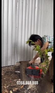 Máy cưa xích chạy xăng tay cụt komasu máy cưa sích cưa gỗ nhẹ khỏe tiếp kiệm nguyên liệu