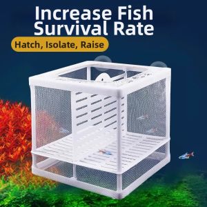 Hadassah | Survival Improving Fish Breeding Isolation Box