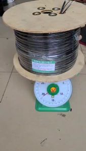 Cuộn Cáp mạng ngoài trời liền nguồn Cat5E lõi đồng chống nhiễu FTP