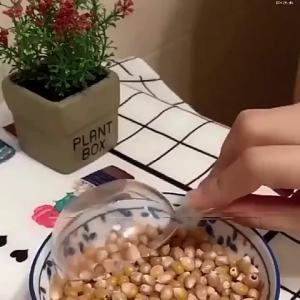 Home Electric Air Popcorn Maker Oil-Free Corn Popper