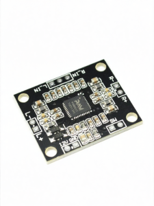 Risym | Digital Amplifier Plate 2x15W Dual Channel 12V