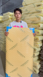 Nệm cao su đặc Foam Mátxa dày 3cm 5cm đủ size siêu êm thoáng mát lót nệm giảm thiểu tình trạng đau lưng người lớn tuổi hỗ trợ cột sống