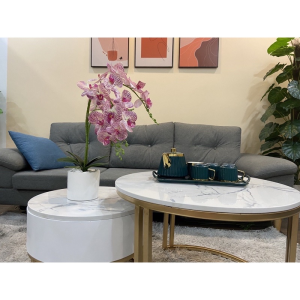 Bình lan hồ điệp giả - kèm chậu đầy đủ phụ kiện - Cây giả hoa lụa Decor trang trí nhà cửa