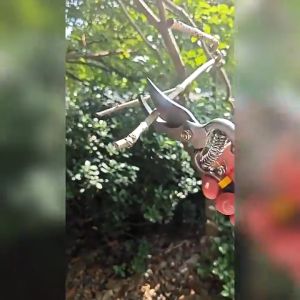 【BHQ&HOME】กรรไกรตัดกิ่งไม้ กรรไกรตัดกิ่ง กรรไกรทำสวน กันไกรตัดกิ่งไม้ 8 นิ้ว ดอกไม้ เครื่องมือจัดทำสวน Pruning Shears