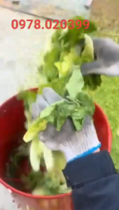 Máy băm  xay củ quả làm thức cho gà vịt  lơn