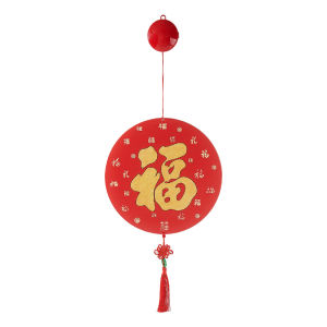 BEAUTY IN THE LIGHT | Spring Festival Decorative LED Lights