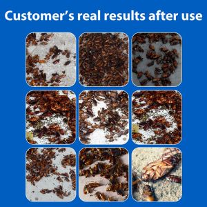 💥No cockroaches in 10 years！！cockroaches killer【20pcs】Cockroach Bait Destroy all nests of cockroaches lipas killer ubat lipas dalam rumah ubat lipas paling berkesan Cockroaches and eggs die together蟑螂药 蟑螂克星