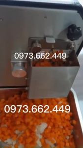 Máy cắt thái hạt lựu các loại củ quả trái cây (Cà rốt củ dền măng củ cải hành tây trái táo ...) 4 cỡ dao phổ biến