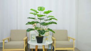 Kemiripan 99% Tanaman Hias Plastik untuk Ruang Tamu