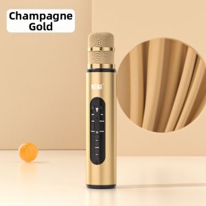 soaiy | Home KTV Wireless Microphone
