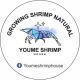 YouMe Shrimp House