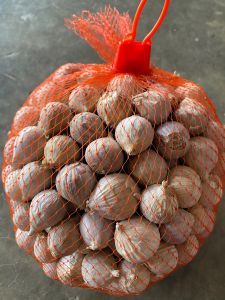 กระเทียมโทนกลางเปลือกหนา 1 กก