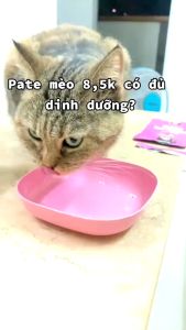 (HÀNG MỚI) Canxi Hữu Cơ Ecopets – Giải Pháp Cho Khung Xương Chắc Khỏe Gói 5g - Bột Dinh Dưỡng B glucan Tăng Đề Kháng & Vị Giác Cho Chó Mèo