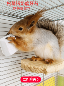 Squirrel Rabbit Hamster Guinea Pig Pet Tooth Grinding Stone Rodent Pet Tooth Grinding Bar Calcium Milk Brick Toy Decoration