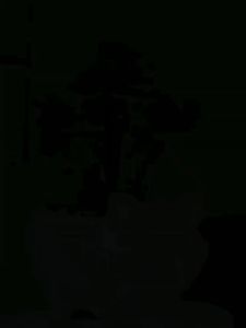 Chậu Trồng Sen Đá Xương Rồng Hình Heo Có Lỗ Thoát Nước Trang Trí Để Bàn Văn Phòng Làm Quà Tặng