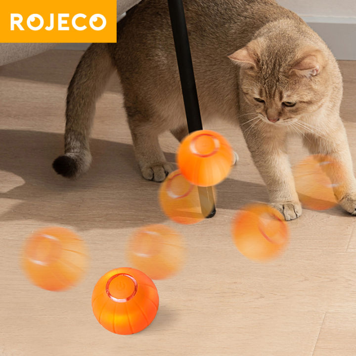 Cat toys lazada best sale