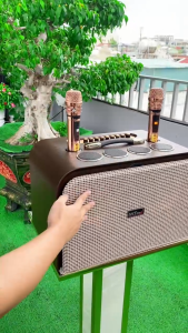 Loa kéo di động L1 Pro công suất 450W bass đôi 20cm 8 đường tiếng micro hợp kim kết nối BT USB HDMI OPT