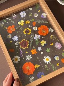 Floating Picture Frame Double Glass Photo Frame Display Photos for Desktop or Wall Hanging