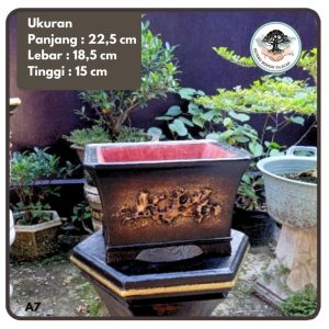 POT BONSAI TANAMAN HIAS SEMEN KOTAK RELIEF UNIK SEMI CASCADE
