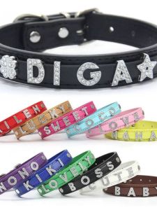 A Comprehensive Guide to PU Leather Dog Harness & DIY Pet Name Collars