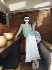 Spring Party Polka Dot Half Skirt Womens Lightweight Draping A-Line Long Skirt High Waist Commute Style Pure Color Button Detail