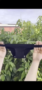 Quần Lót Nữ 670 Su Gân Mềm Mại Đơn Giản Ôm Nửa Mông Xinh Xắn - Từ 40-53kg