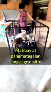 Square Tube Pet Cage Large Metal Dog Cage Stainless Steel Large Free Space Dog Cage with 4 Wheels Foldable Pet Cage