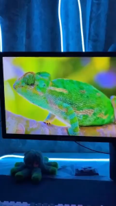 EXPOSE Gaming Monitor 27/24/22/19 Inch Flat Monitor 75Hz 165Hz LED Computer 1ms Monitor 1080P HDMI For Computer Laptop