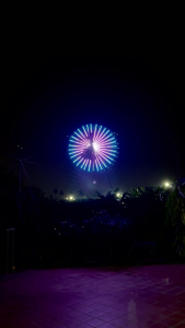 BH 2 NĂM - Đèn led chong chóng pháo hoa trang trí Tết 2026 24 tia và 32 tia có loa điều khiển và app 300 hiệu ứng tùy chỉnh phát nhạc theo hiệu ứng