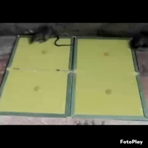 Rat Traps Catching Heavy Duty Snap Mouse Pest Catcher