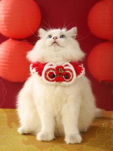 HOOPET | Winter Pet Necklace with Bell and Bow for Cats and Dogs