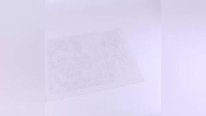 RUOPOTY Bộ Tranh Vẽ Theo Số Dành Cho Người Lớn Có Khung Hoa Cổ Điển Thủ Công Mỹ Nghệ Để Trang Trí Nhà Cửa Động Vật In Canvas