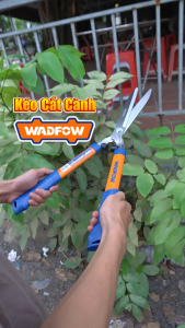 Kéo cắt tỉa hàng rào 550mm WADFOW WPR2301 kéo làm vườn lưỡi thẳng cho kết quả cắt chính xác và tạo hình chính xác
