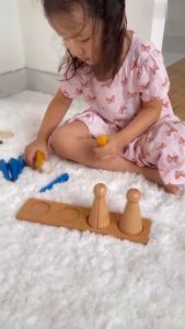 Giáo cụ Montessori - Quả cầu phân số bằng gỗ giúp bé phát triển cảm quan