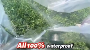 Day Shipping Transparent Tarpaulin Waterproof Thick PE Tarps Outdoor Car Boat Camping Rain Cloths