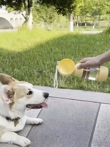 ส่งเร็วมาก ภาชนะที่ใส่อาหารสำหรับสัตว์เลี้ยง pet food storage วัสดุโปร่งใส ง่ายต่อการใช้งาน รูปทรงกระบอก มีที่คล้องมือให้ ออกแบบมาอย่างดี 3LI