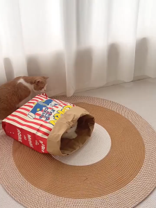 Fun Creative Popcorn Cat Dog Nest Double Layers Kraft Paper Cat Tunnel Toys Cute Sleeping Bag Nest Pet Interactive Toy