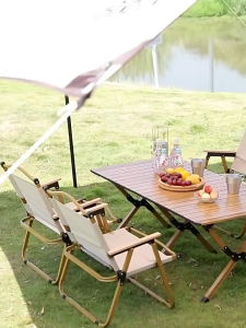 Portable Aluminum-Frame Beach Chair with Durable Canvas Cushion for Outdoor Camping