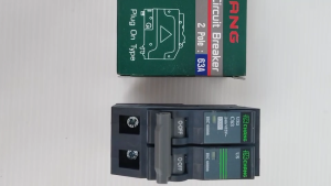 เมนธรรมดา 2P 63A ช้าง (CSO 292)