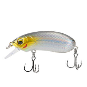 Ewitgo | Suspending and Diving Fishing Lures